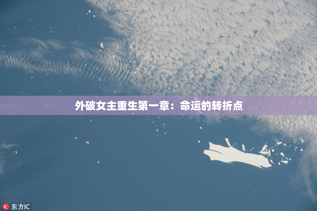 外破女主重生第一章：命运的转折点