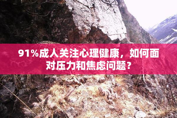 91%成人关注心理健康，如何面对压力和焦虑问题？