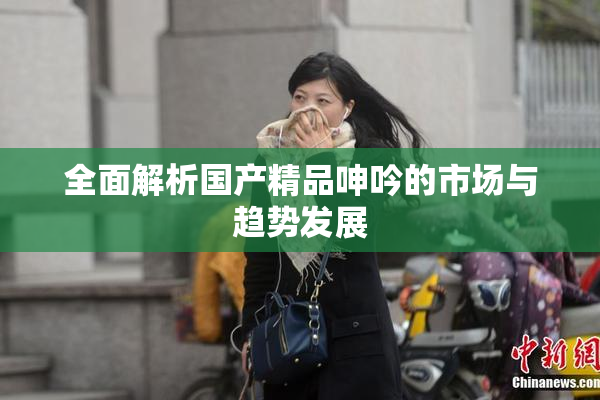 全面解析国产精品呻吟的市场与趋势发展