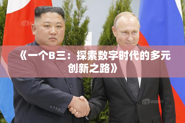 《一个B三：探索数字时代的多元创新之路》