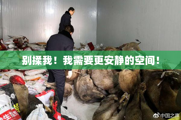 别揉我！我需要更安静的空间！