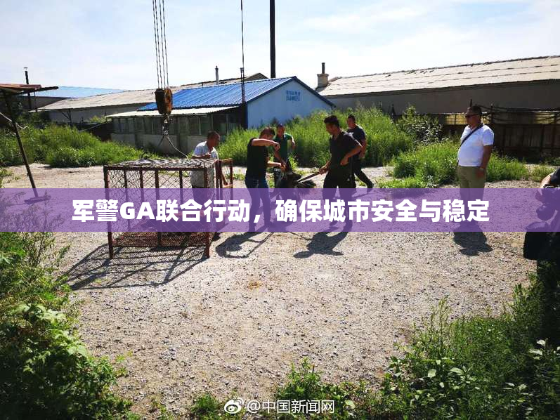 军警GA联合行动，确保城市安全与稳定