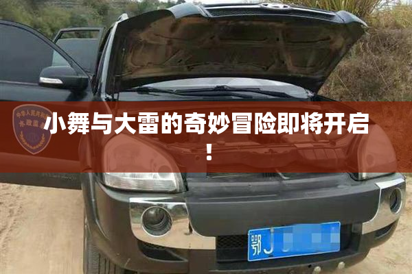 小舞与大雷的奇妙冒险即将开启！