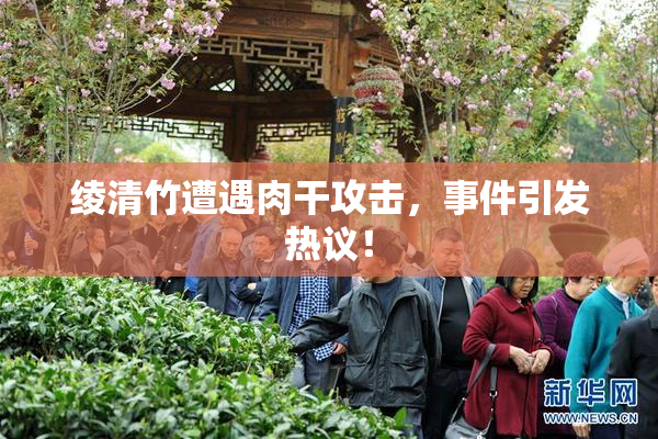 绫清竹遭遇肉干攻击，事件引发热议！