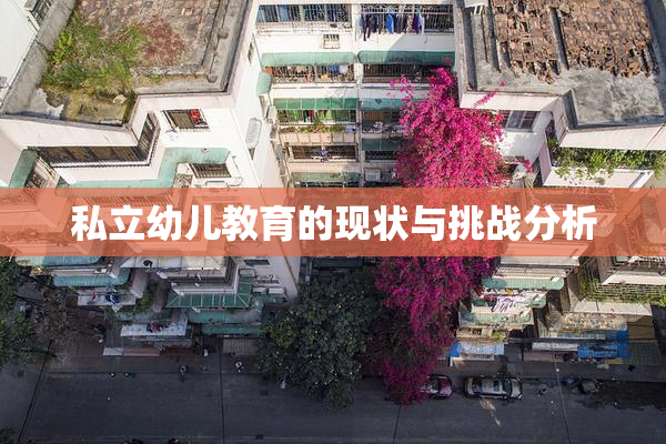 私立幼儿教育的现状与挑战分析