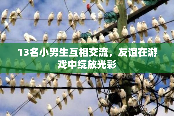 13名小男生互相交流，友谊在游戏中绽放光彩