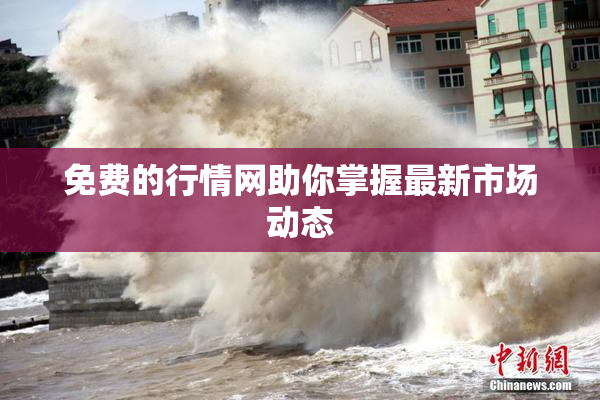 免费的行情网助你掌握最新市场动态