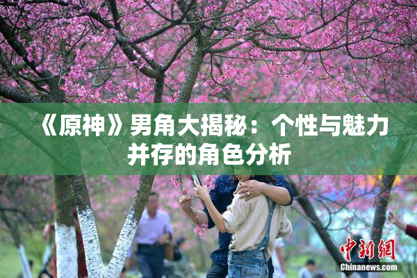 《原神》男角大揭秘：个性与魅力并存的角色分析