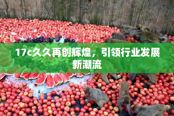 17c久久再创辉煌，引领行业发展新潮流