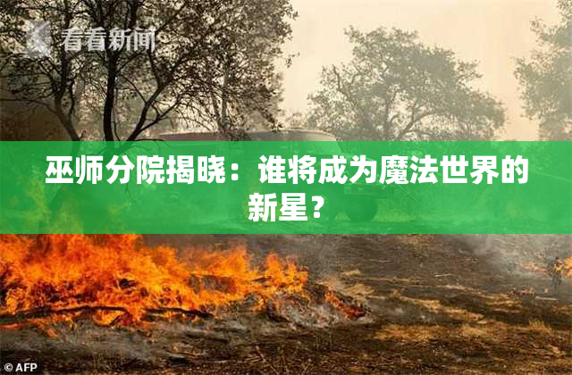 巫师分院揭晓：谁将成为魔法世界的新星？