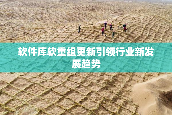 软件库软重组更新引领行业新发展趋势