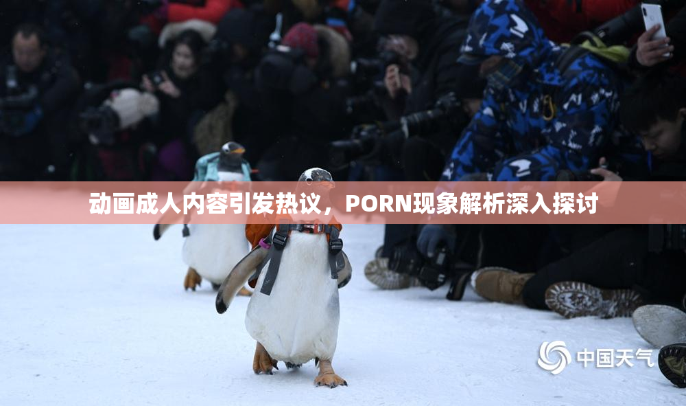 动画成人内容引发热议，PORN现象解析深入探讨