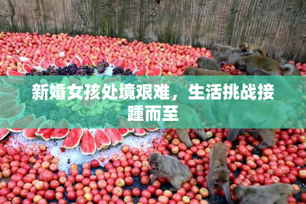 新婚女孩处境艰难，生活挑战接踵而至
