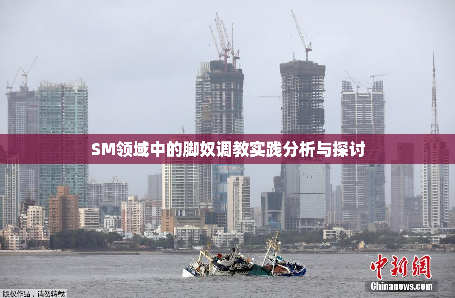 SM领域中的脚奴调教实践分析与探讨