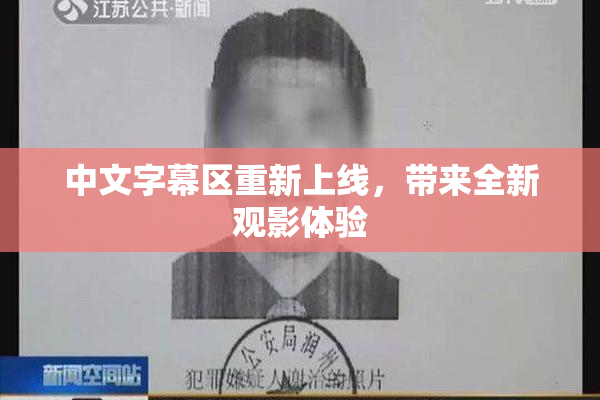 中文字幕区重新上线，带来全新观影体验