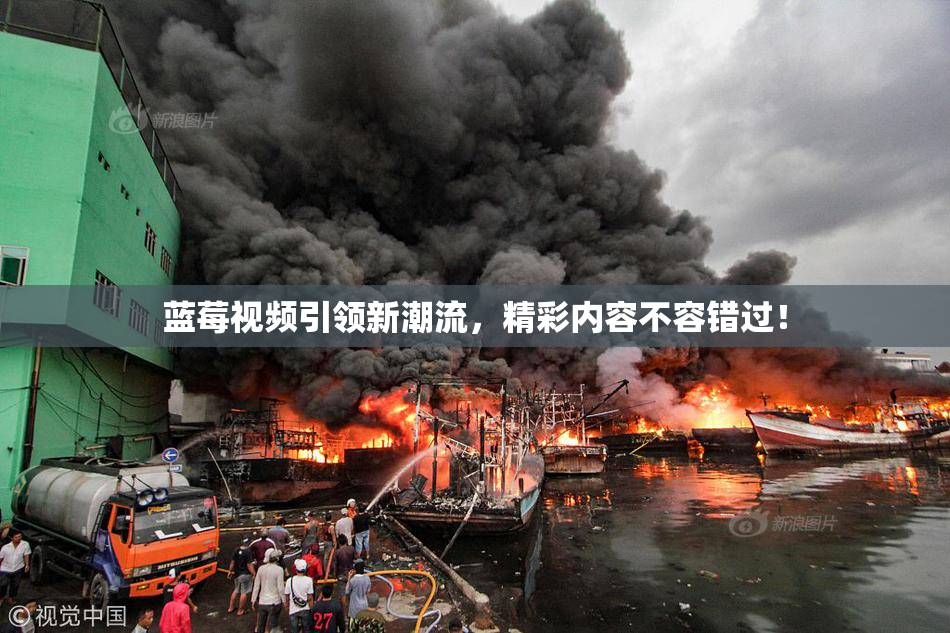 蓝莓视频引领新潮流，精彩内容不容错过！