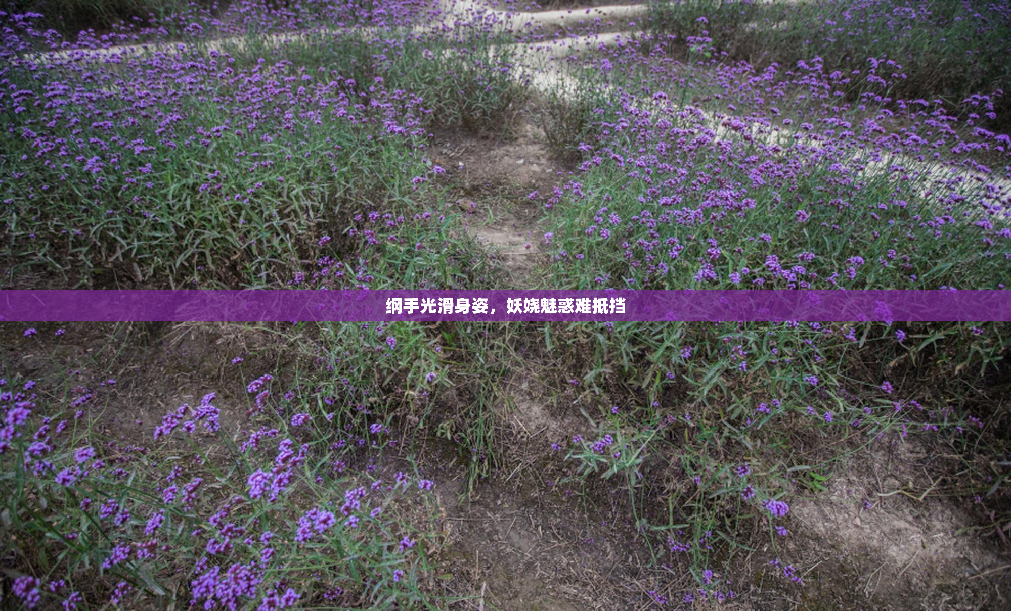 纲手光滑身姿，妖娆魅惑难抵挡
