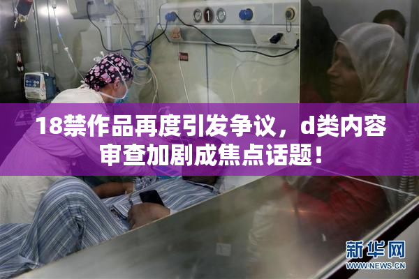 18禁作品再度引发争议，d类内容审查加剧成焦点话题！