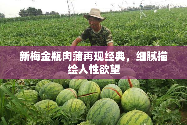 新梅金瓶肉蒲再现经典，细腻描绘人性欲望