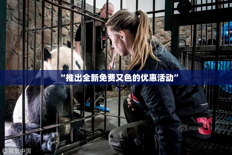 “推出全新免费又色的优惠活动”