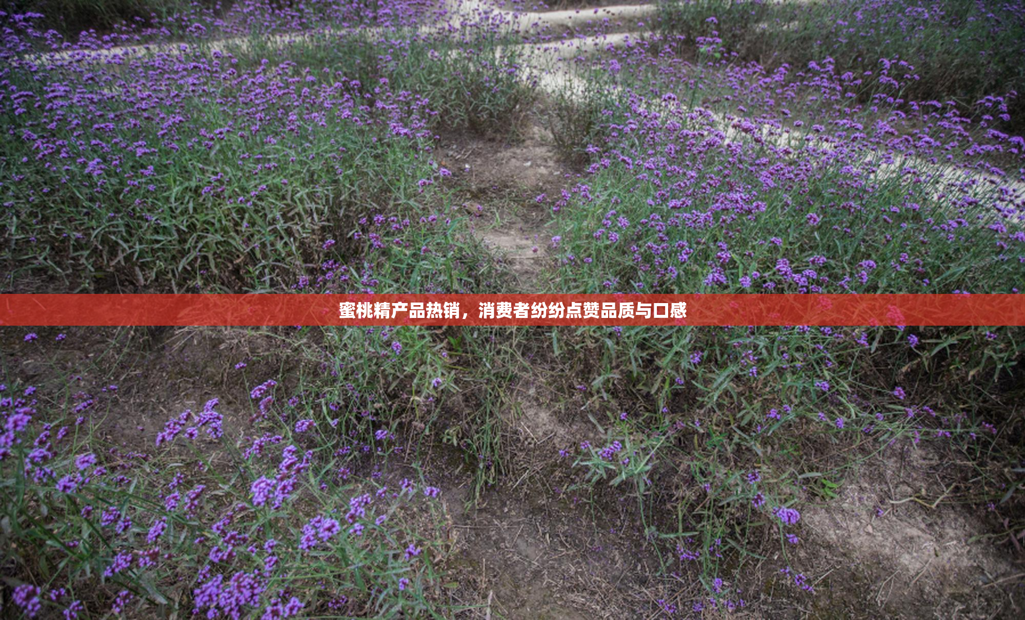蜜桃精产品热销，消费者纷纷点赞品质与口感