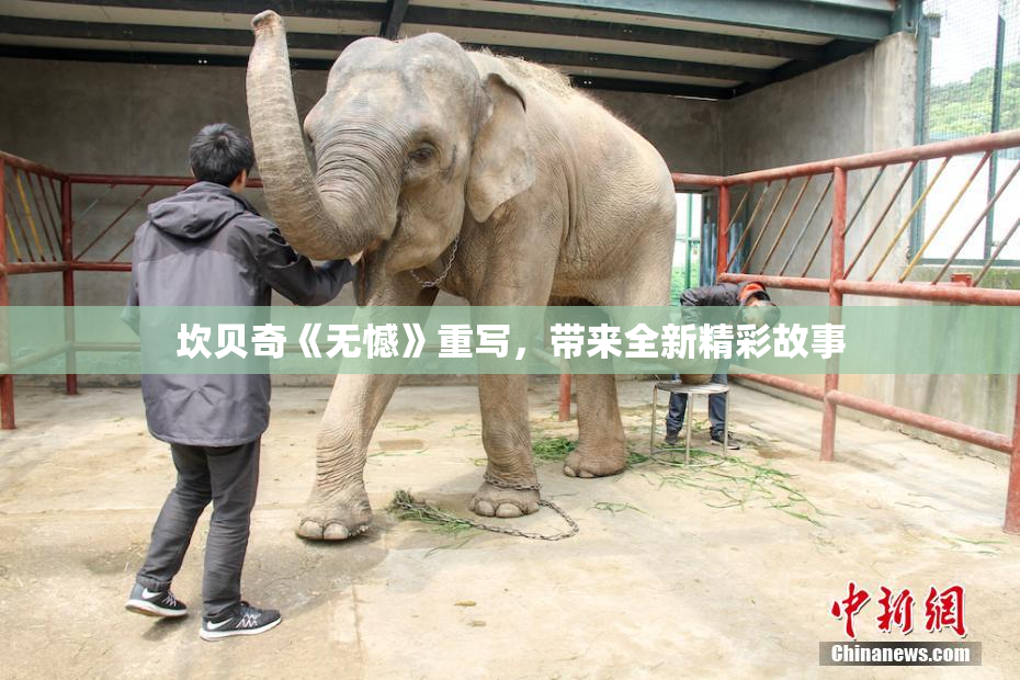 坎贝奇《无憾》重写，带来全新精彩故事