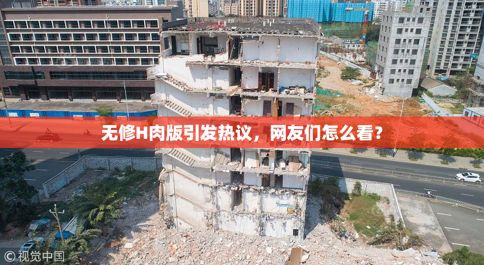 无修H肉版引发热议，网友们怎么看？