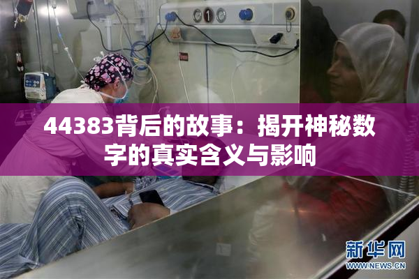 44383背后的故事：揭开神秘数字的真实含义与影响