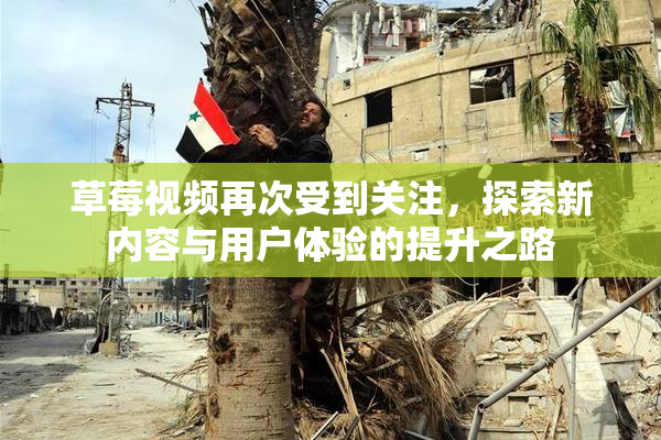 草莓视频再次受到关注，探索新内容与用户体验的提升之路