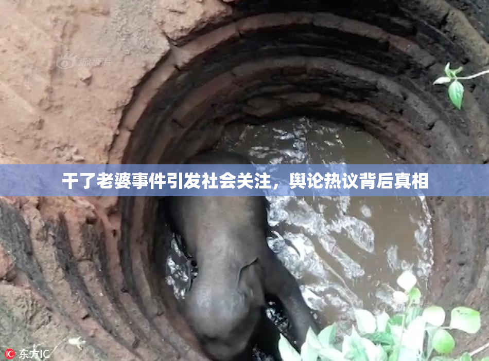 干了老婆事件引发社会关注，舆论热议背后真相