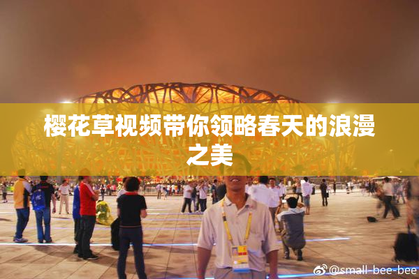 樱花草视频带你领略春天的浪漫之美