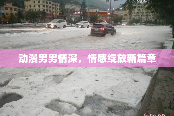 动漫男男情深，情感绽放新篇章