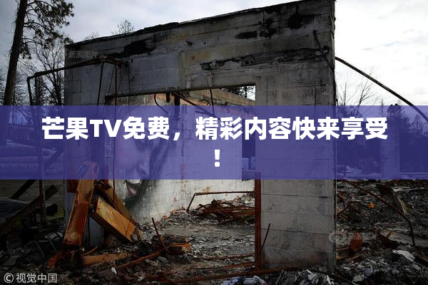 芒果TV免费，精彩内容快来享受！