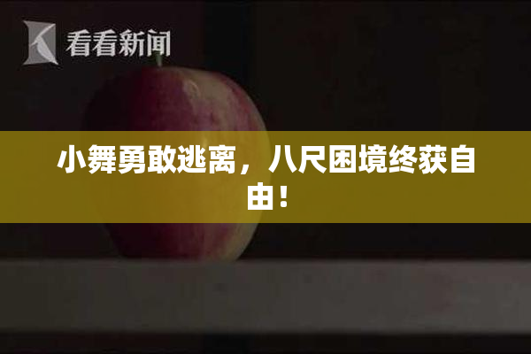 小舞勇敢逃离，八尺困境终获自由！