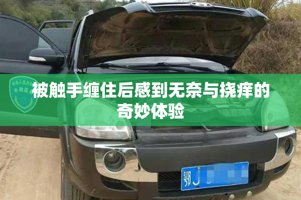 被触手缠住后感到无奈与挠痒的奇妙体验