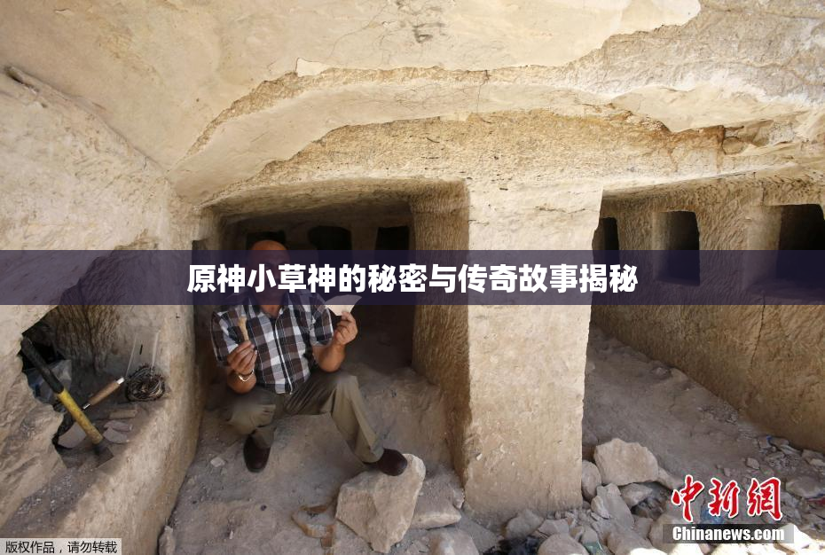 原神小草神的秘密与传奇故事揭秘