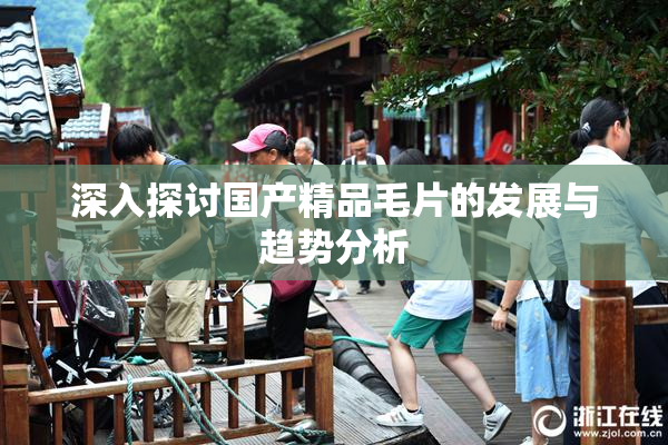 深入探讨国产精品毛片的发展与趋势分析