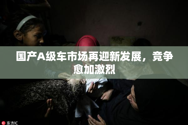 国产A级车市场再迎新发展，竞争愈加激烈