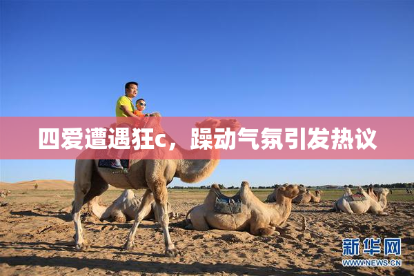 四爱遭遇狂c，躁动气氛引发热议