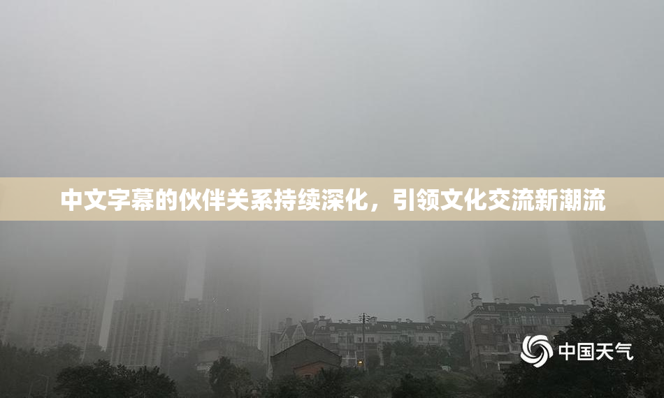 中文字幕的伙伴关系持续深化，引领文化交流新潮流