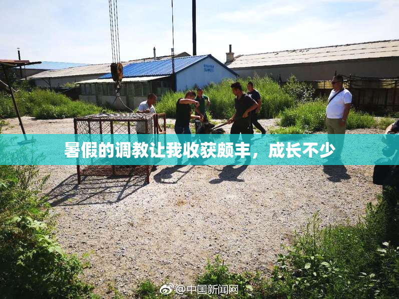 暑假的调教让我收获颇丰，成长不少