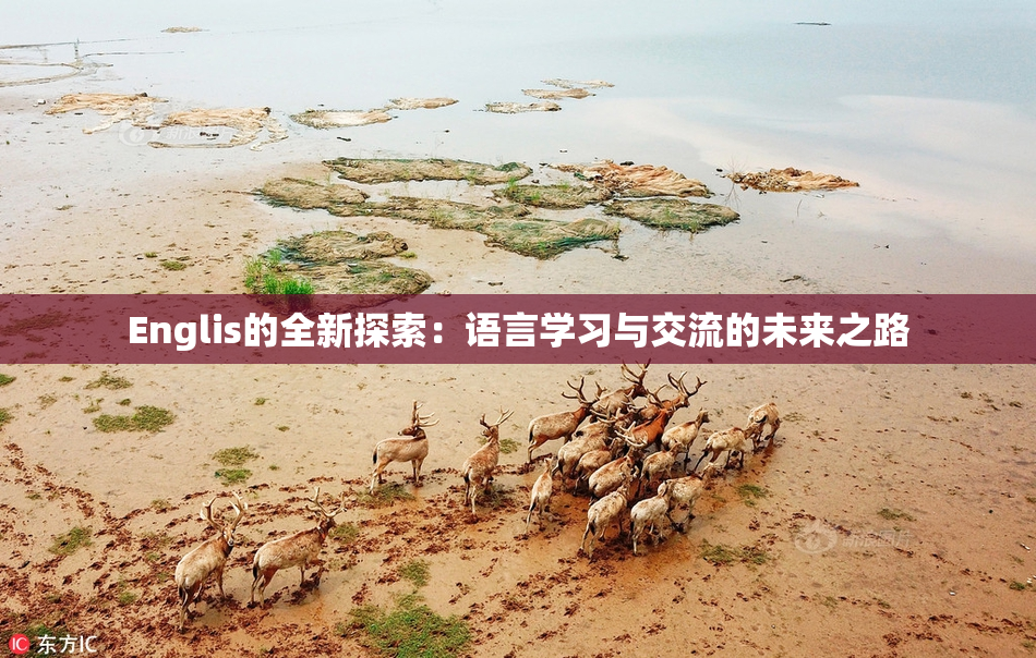 Englis的全新探索：语言学习与交流的未来之路