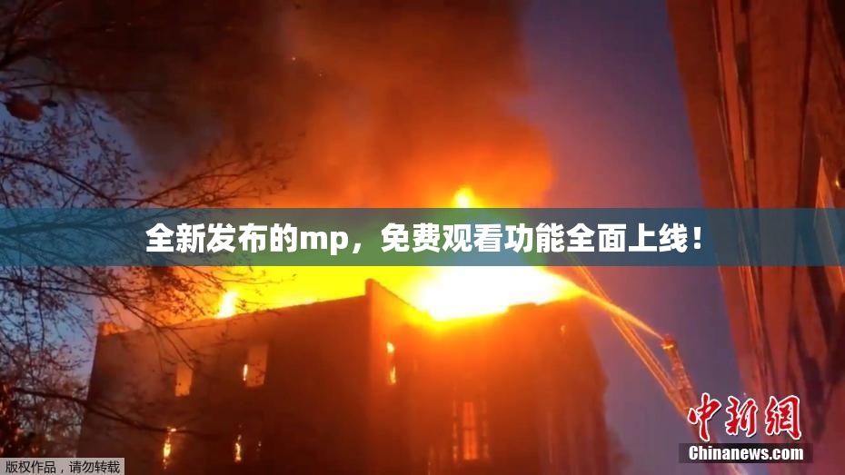 全新发布的mp，免费观看功能全面上线！