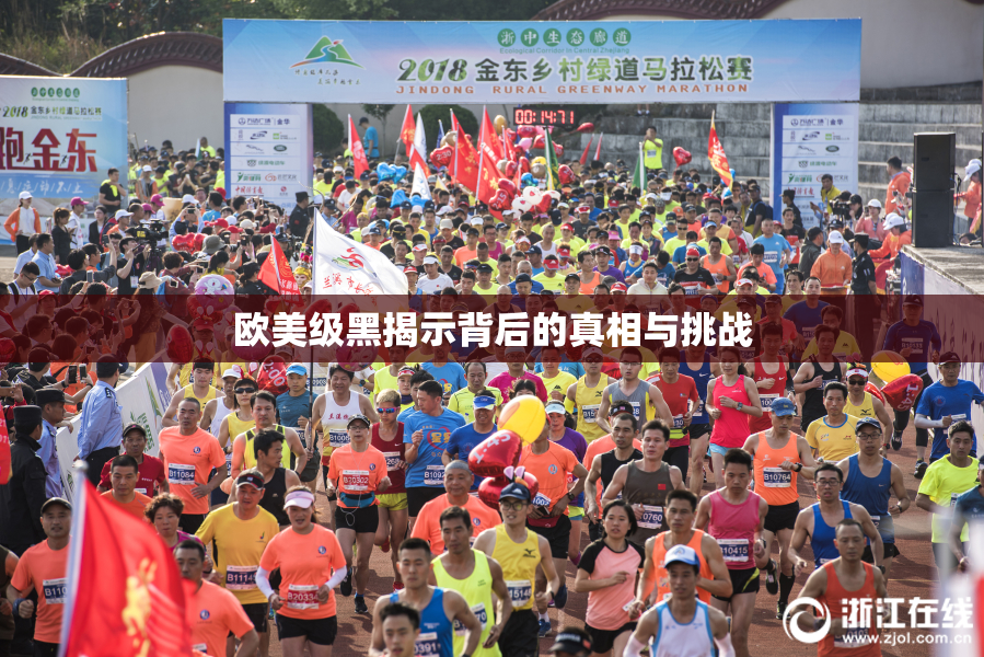 欧美级黑揭示背后的真相与挑战