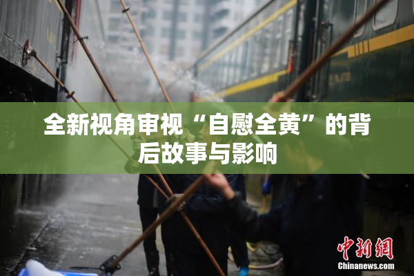 全新视角审视“自慰全黄”的背后故事与影响
