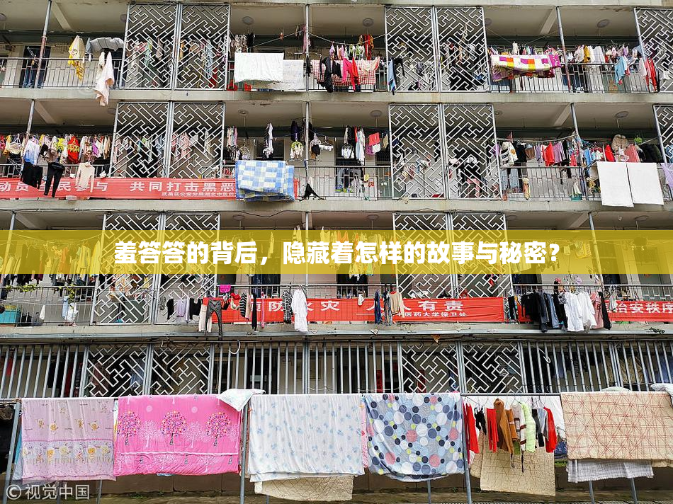 羞答答的背后，隐藏着怎样的故事与秘密？