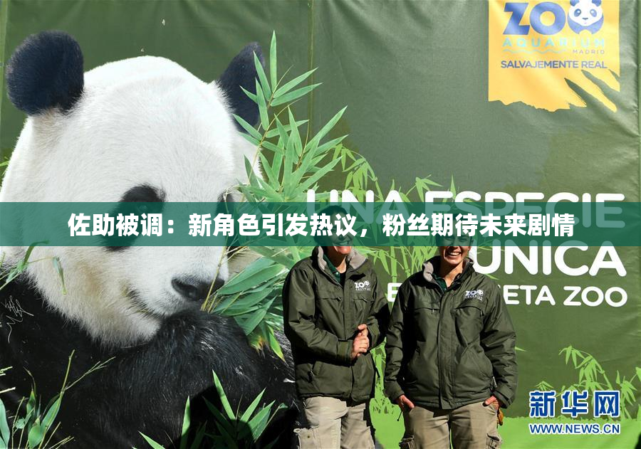 佐助被调：新角色引发热议，粉丝期待未来剧情