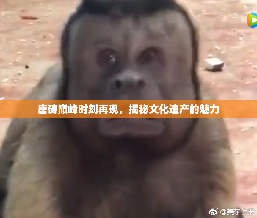 唐砖巅峰时刻再现，揭秘文化遗产的魅力