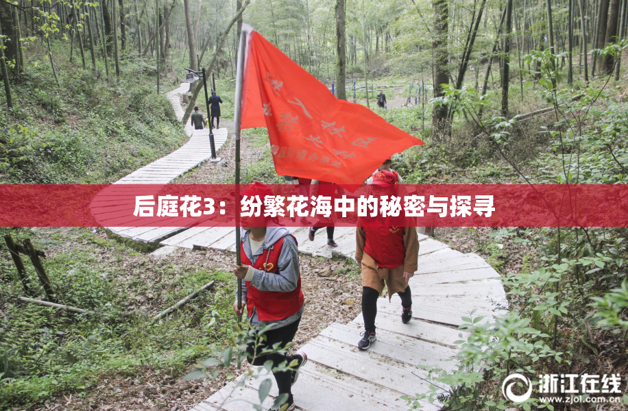 后庭花3：纷繁花海中的秘密与探寻
