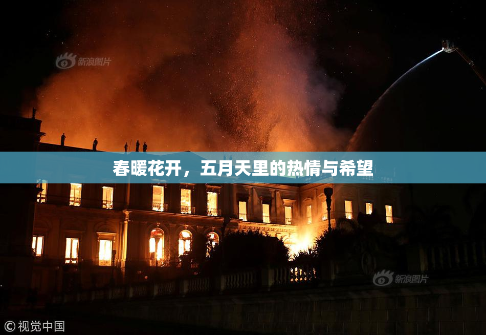 春暖花开，五月天里的热情与希望